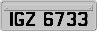 IGZ6733