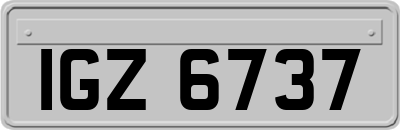 IGZ6737