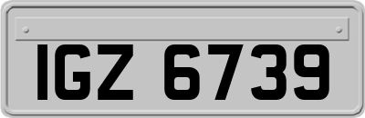 IGZ6739