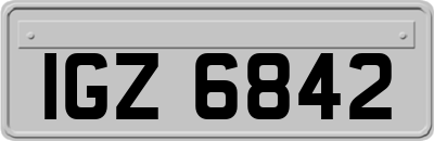 IGZ6842