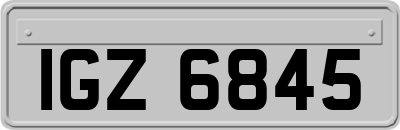 IGZ6845