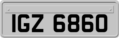 IGZ6860