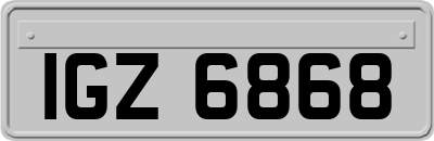 IGZ6868