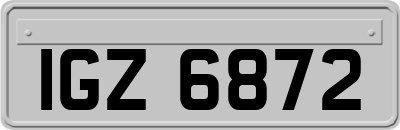 IGZ6872