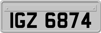 IGZ6874