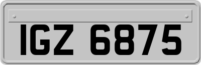 IGZ6875