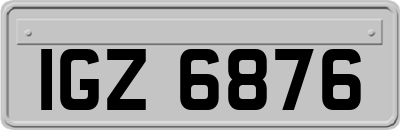 IGZ6876