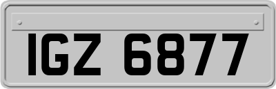 IGZ6877