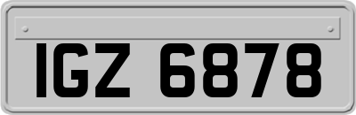IGZ6878