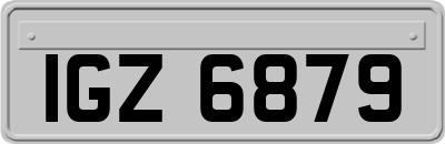 IGZ6879