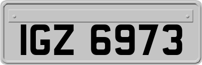IGZ6973