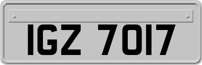 IGZ7017