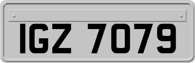 IGZ7079