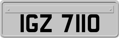 IGZ7110