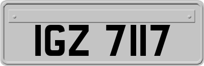 IGZ7117