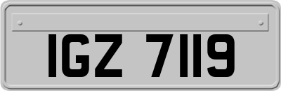 IGZ7119