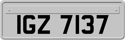 IGZ7137