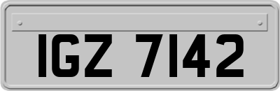 IGZ7142
