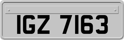IGZ7163