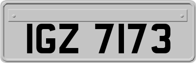 IGZ7173