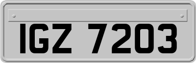 IGZ7203