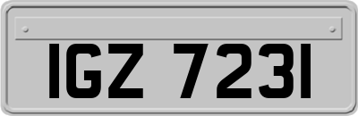 IGZ7231