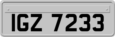 IGZ7233