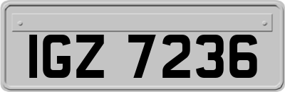 IGZ7236