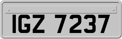 IGZ7237