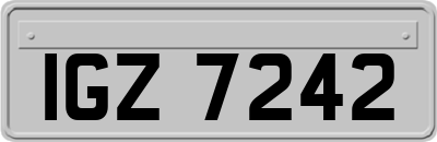 IGZ7242