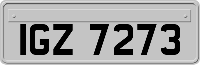 IGZ7273