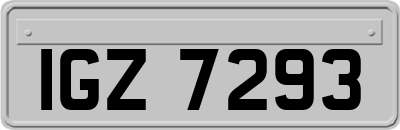 IGZ7293