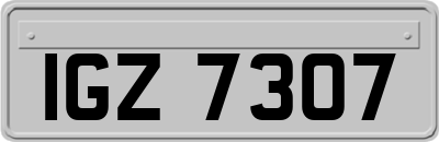 IGZ7307