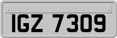IGZ7309