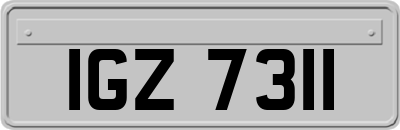 IGZ7311