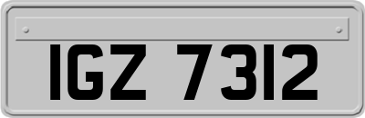 IGZ7312