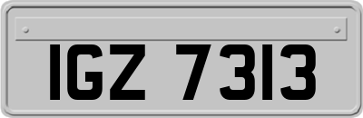 IGZ7313
