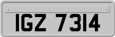 IGZ7314