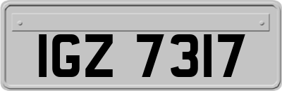IGZ7317
