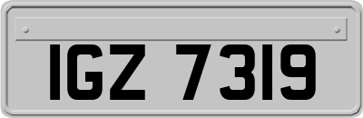 IGZ7319