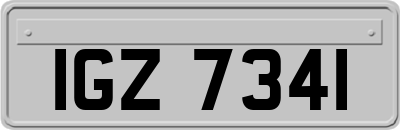 IGZ7341