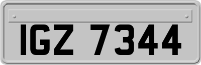 IGZ7344