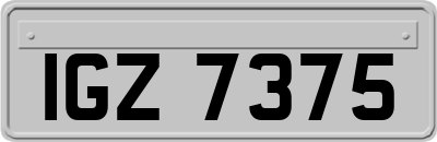 IGZ7375