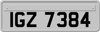 IGZ7384