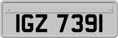 IGZ7391