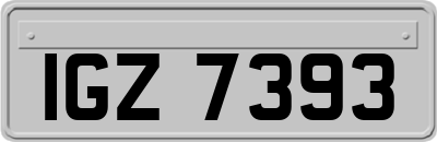 IGZ7393