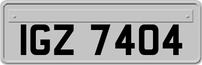 IGZ7404