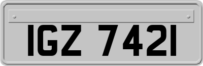 IGZ7421