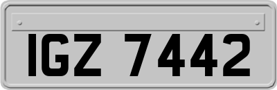 IGZ7442