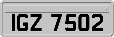 IGZ7502